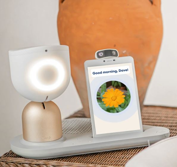 Altersheime: Soziale Roboter verlängern Leben