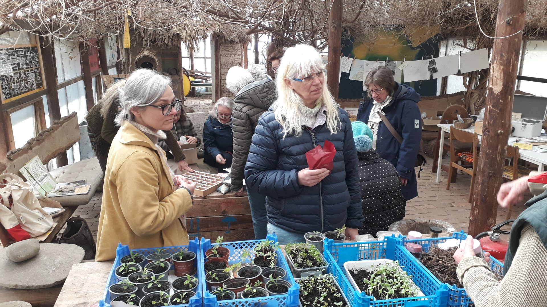 2. Glücksburger Saatgutbörse am 20. September bei artefact