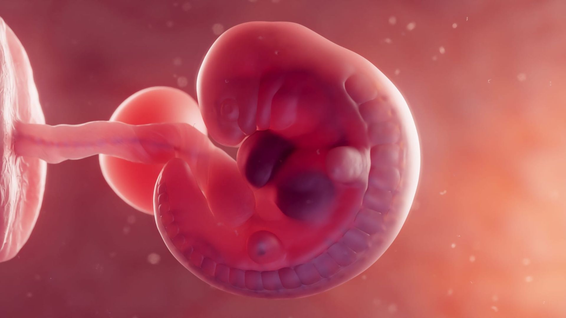 30 Jahre auf Eis – Wie ein Embryo aus den 90ern jetzt Geschichte schreibt