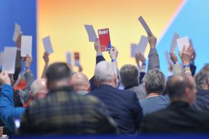 Abstimmung auf AfD-Parteitag am 12.01.2025