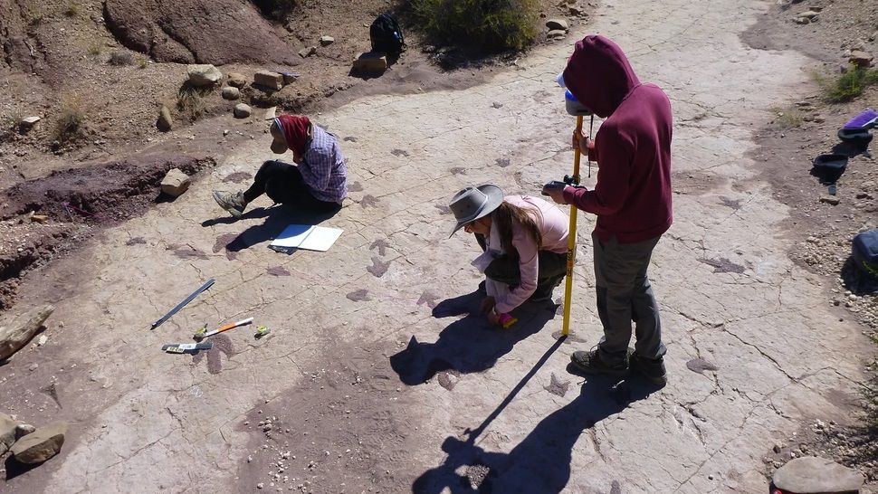 Adventistische Wissenschaftler leiten bahnbrechende Studie über die weltweit größte Dinosaurier-Fußabdruckfundstätte