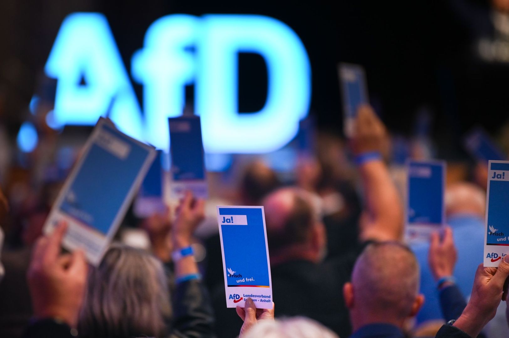 AfD