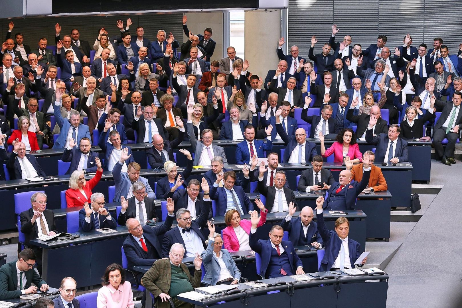 AfD-Bundestagsfraktion (Archiv)