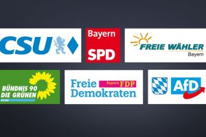 AfD im Aufwind: Warum die Partei die Umfragen dominiert