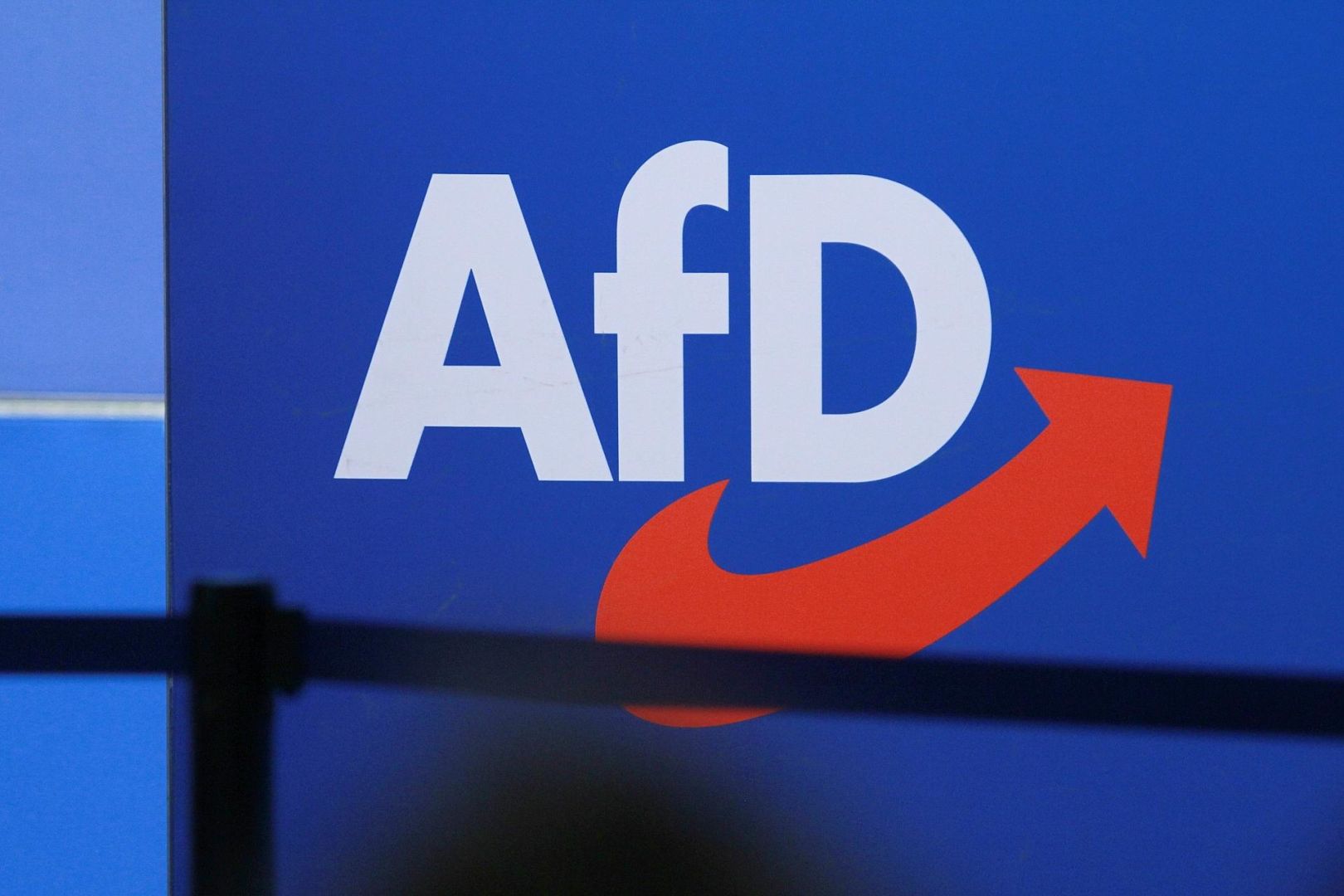 AfD-Logo (Archiv)