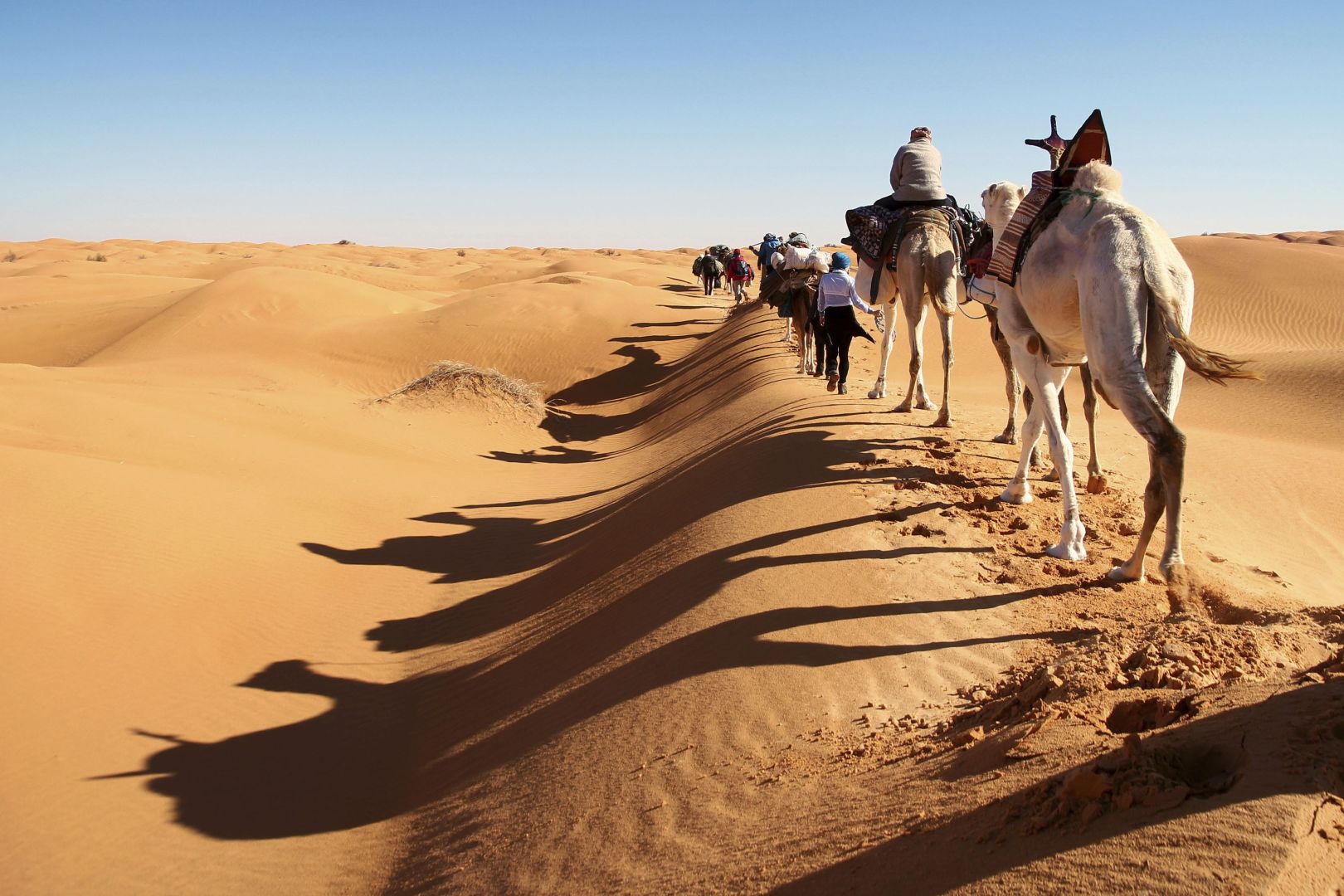 Afrika bewegt und berührt: aktive Vielfalt quer über den Kontinent