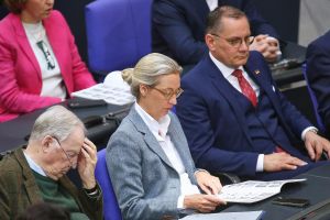 Alexander Gauland, Alice Weidel und Tino Chrupalla (Archiv)