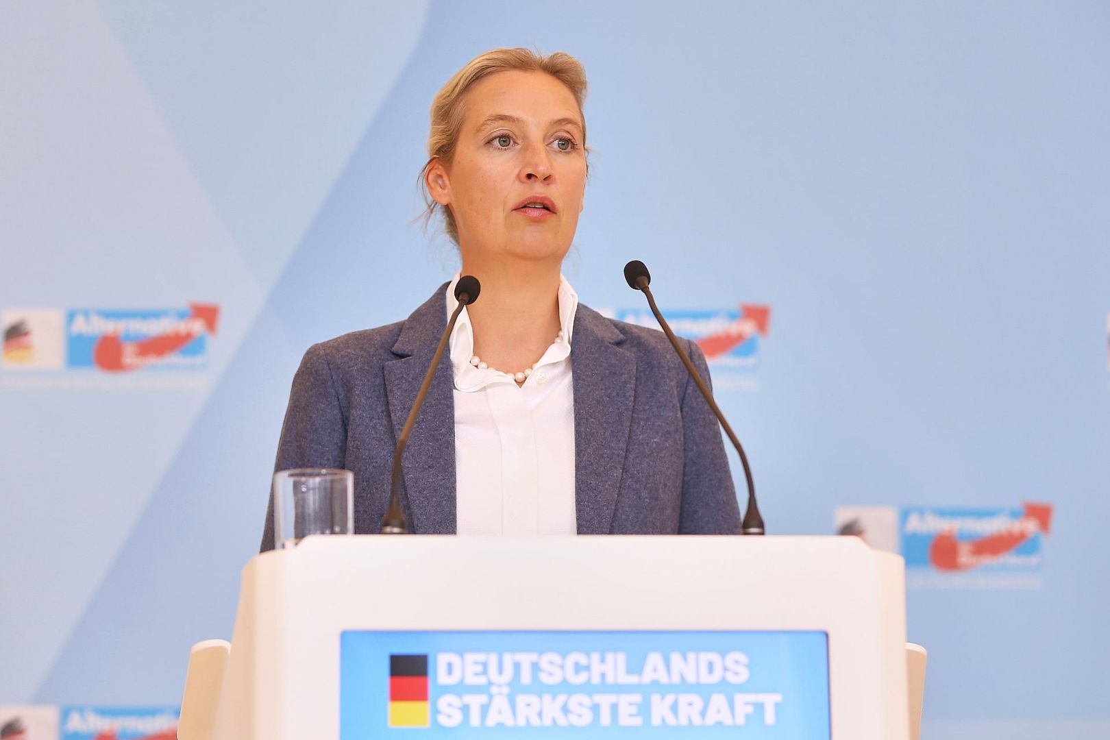 Alice Weidel am 14.10.2025