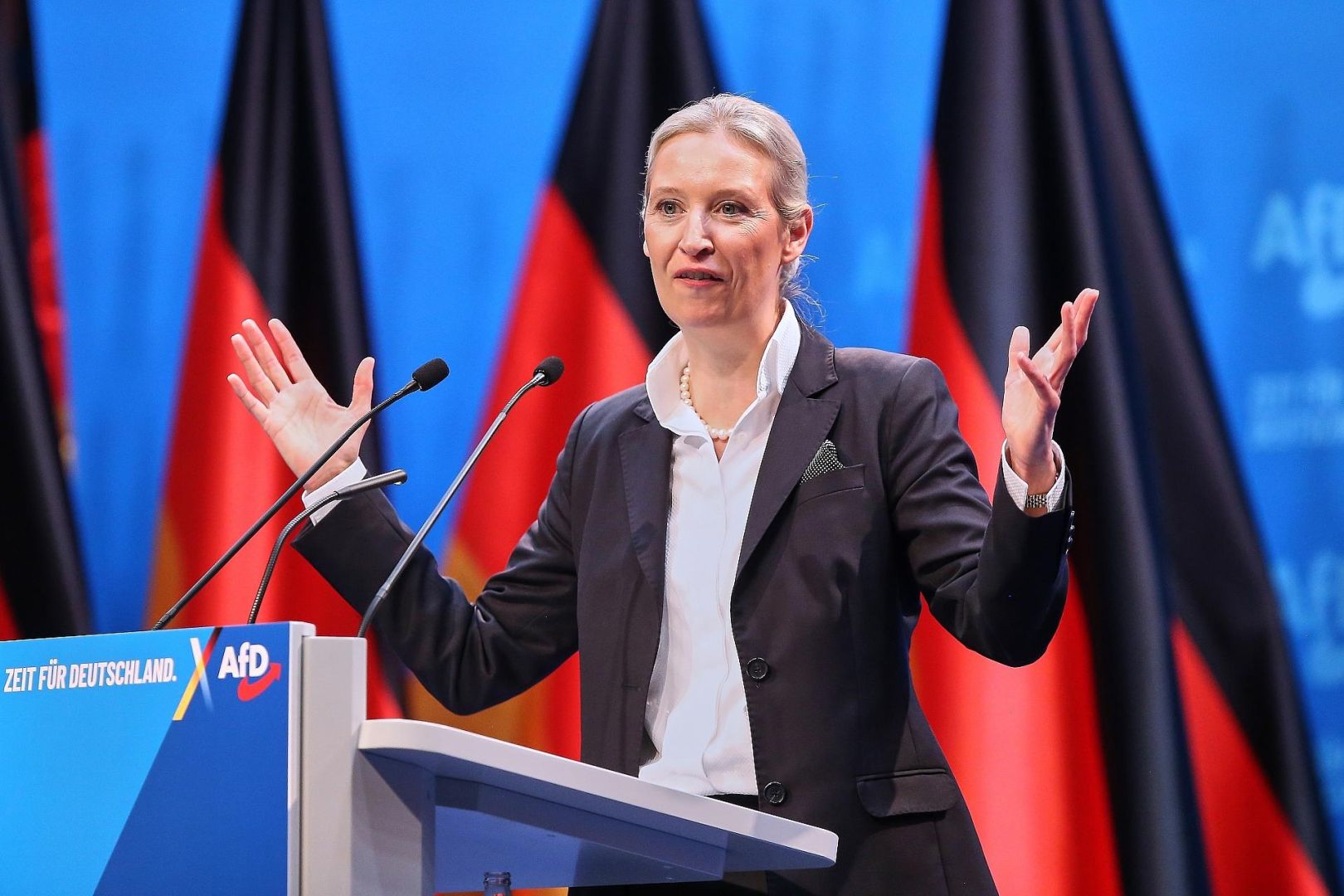 Alice Weidel (Archiv)
