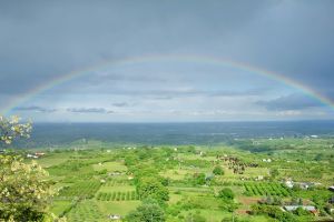 An einem bewölkten Tag spannt sich ein leuchtender Regenbogen über eine üppig grüne Landschaft.