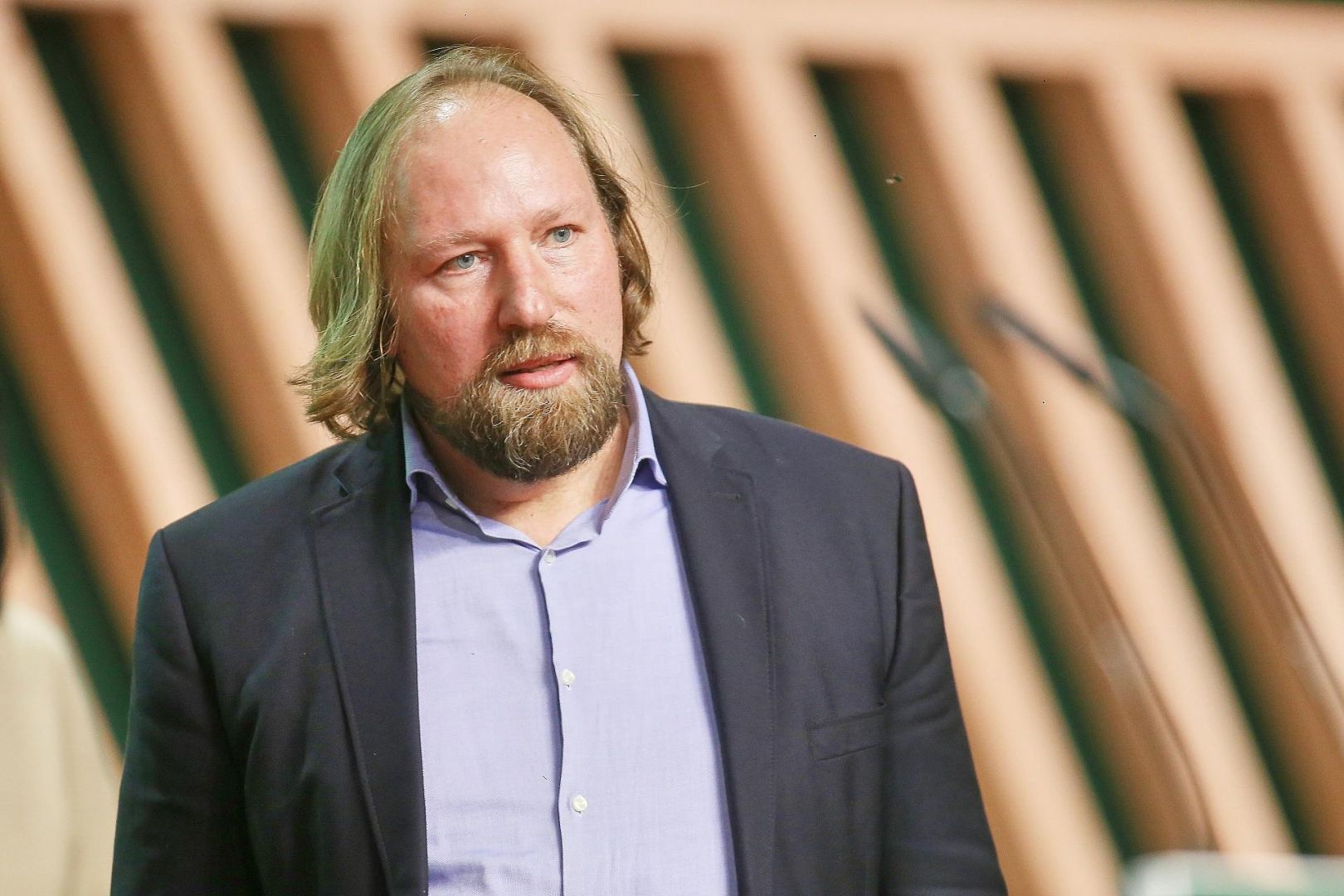 Anton Hofreiter (Archiv)