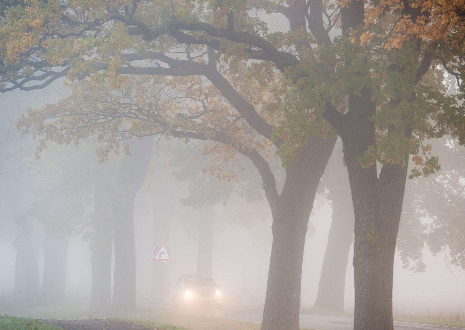 Auto fährt bei Nebel auf einer Landstraße