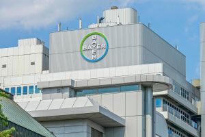 Bayer am Boden: Die Monsanto-Übernahme rächt sich