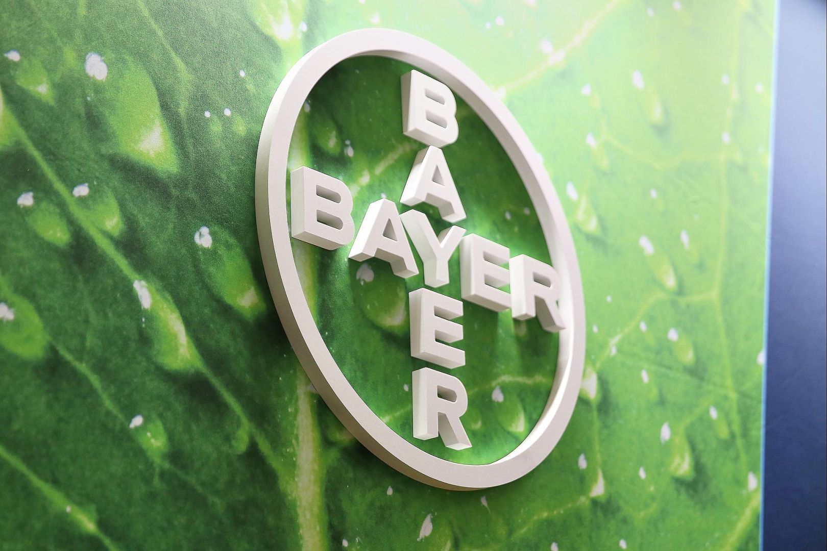 Bayer (Archiv)
