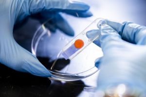 Bei „Rot“ braucht die Pflanze: Hilfe Sensor zeigt die Gesundheit von Gewächsen an