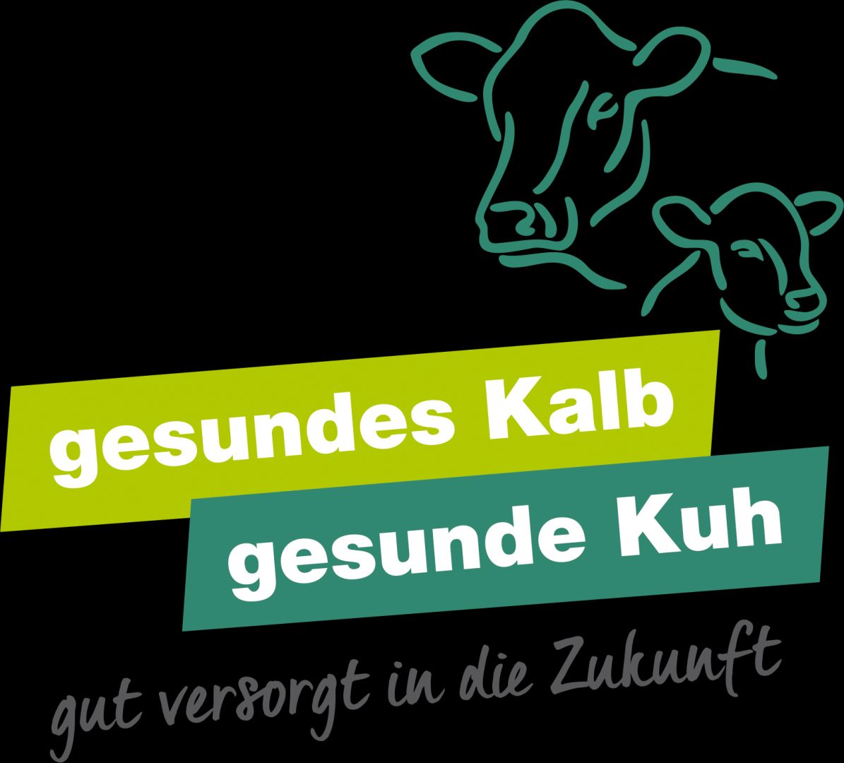 BfT und BRS bauen Plattform Gesundes Kalb | Gesunde Kuh weiter aus