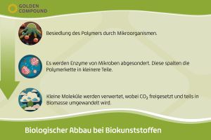 Bioplastik im Test: Wie funktioniert der biologische Abbau wirklich?