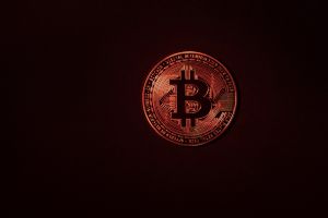 bitcoin, coin, icon, symbol, logo, bitcoin logo, currency, cryptocurrency, bitcoin, bitcoin, bitcoin, bitcoin, bitcoin, bitcoin logo, bitcoin logo, bitcoin logo