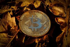 bitcoin, currency, finance, coin, crypto, cryptocurrency, brown finance, bitcoin, crypto, crypto, crypto, crypto, cryptocurrency, cryptocurrency, cryptocurrency, cryptocurrency, cryptocurrency