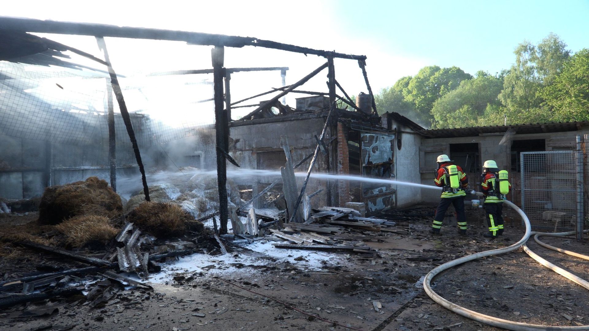 Brand auf Geflügelhof