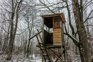 Braunes Hölzernes Baumhaus Auf Schneebedecktem Boden