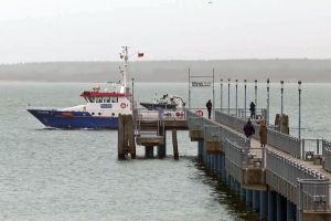 Buckelwal vor Ostseeküste ist abgetaucht