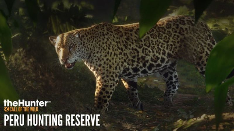 Call of the Wild: theHunter reist nach Peru