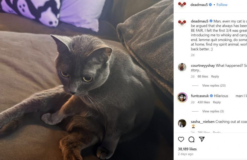 Deadmau5-Post auf Instagram
