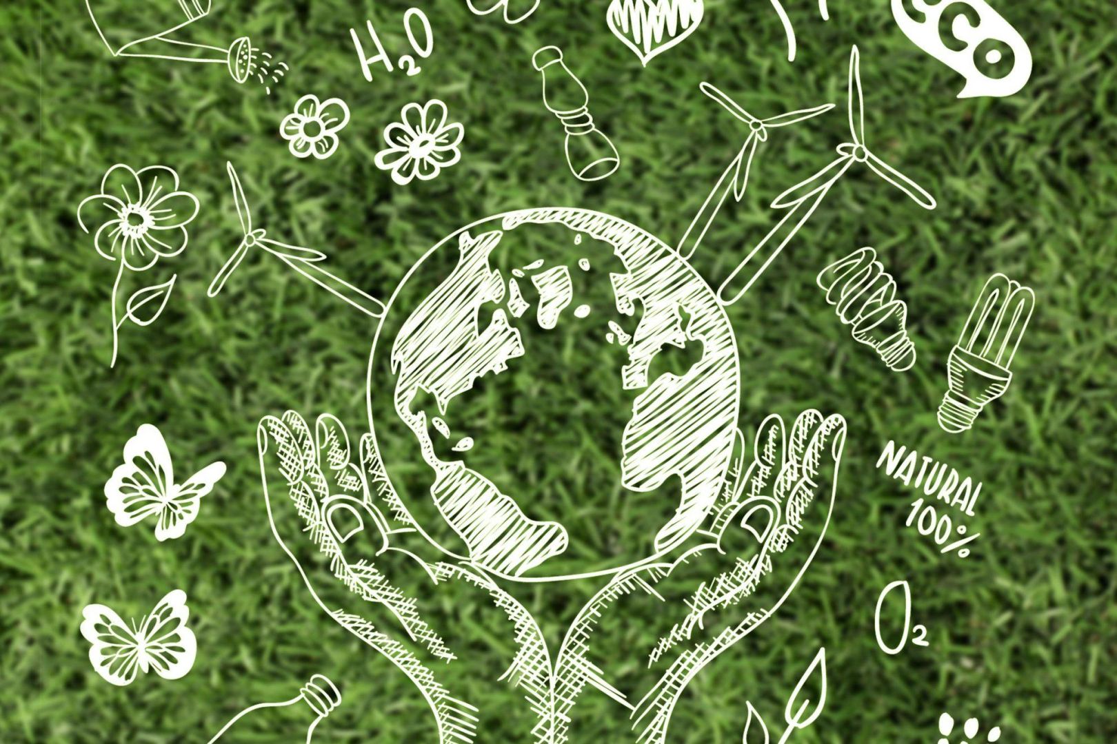 Deutsche lehnen Verbrenner-Aus und Fleisch-Beschränkungen ab – Umfrage vor Klimagipfel COP30