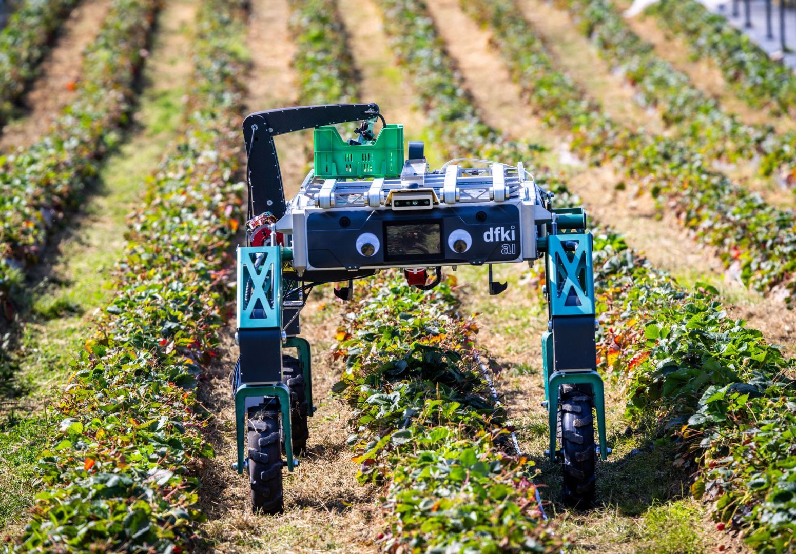 Deutsches Forschungszentrum für Künstliche Intelligenz (DFKI)