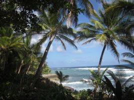 Die DomRep kann auch anders: aktiv durchs Karibikparadies