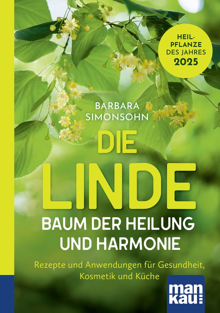Die Linde ist Heilpflanze des Jahres 2025