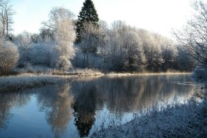 Ein ruhiger, frostiger Morgen an einem spiegelnden See im Vestland, Norwegen.