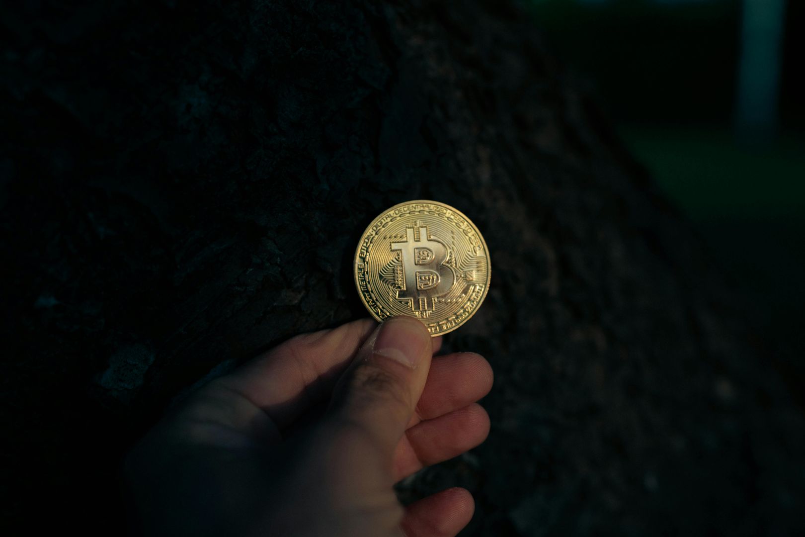 Eine Nahaufnahme einer Hand, die im Freien vor einem dunklen Baumhintergrund eine Bitcoin-Münze hält, veranschaulicht Kryptowährungskonzepte.