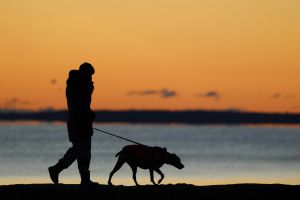 Eine Person, die bei Sonnenaufgang mit ihrem Hund an der Küste spazieren geht, die Silhouette zeichnet sich vor einem leuchtenden Himmel ab.