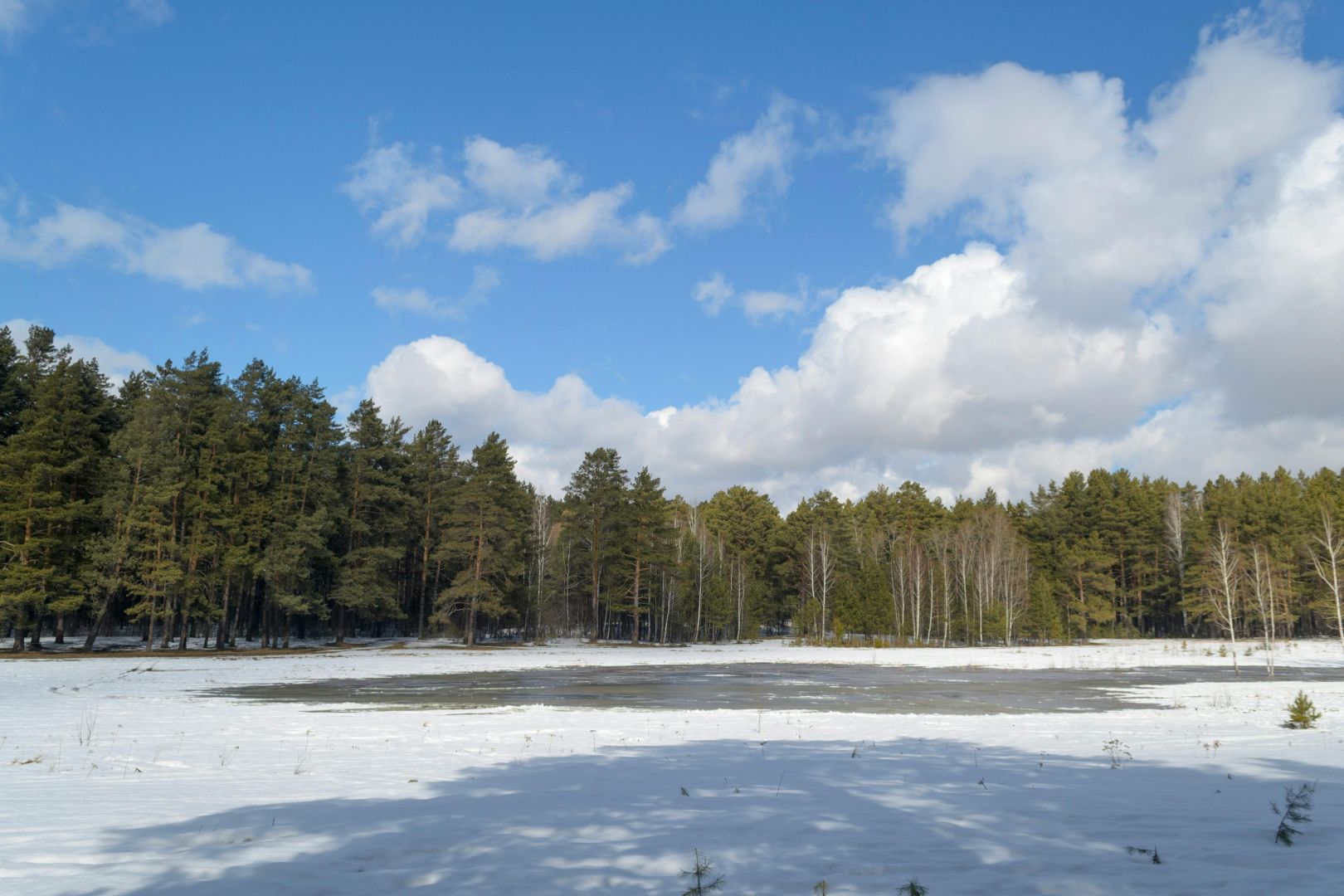 Eine ruhige Schneelandschaft mit einem Wald unter einem strahlend blauen Himmel mit vereinzelten Wolken.