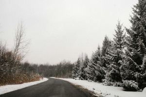 Eine ruhige, verschneite Straße schlängelt sich im Winter durch einen stillen Wald.