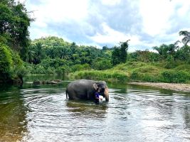 Elefantencamps in Thailand