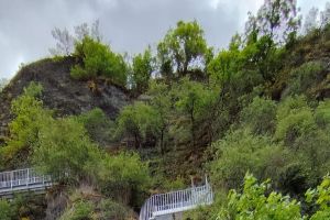 Erster erfolgreicher InstaWalk in der Moselregion Traben-Trarbach Kröv