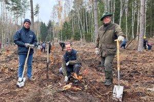 Etwa 2.000 Bäume für den WEMAG-Zukunftswald bei Wittenburg gepflanzt