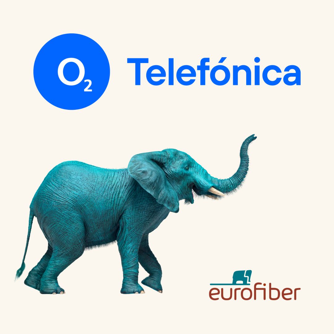 Eurofiber Netz und o2 Telefónica schließen Kooperationsvertrag für Glasfaseranschlüsse in Berlin
