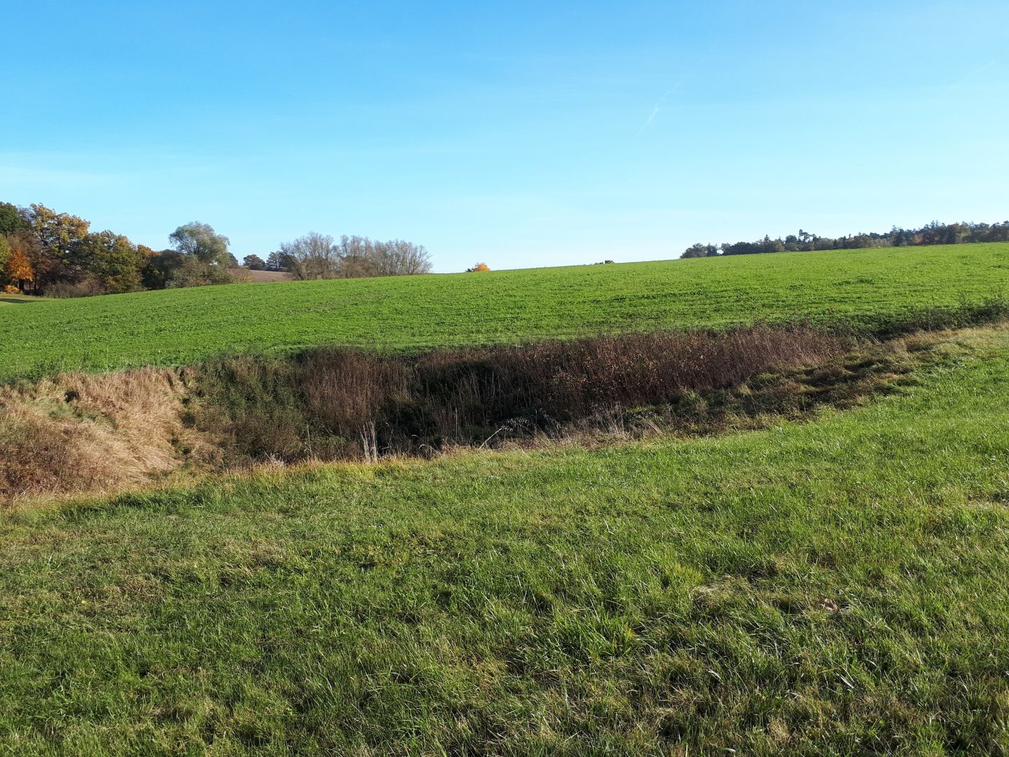 Familienwanderung am Dolinenlehrpfad Tagmersheim - Rögling