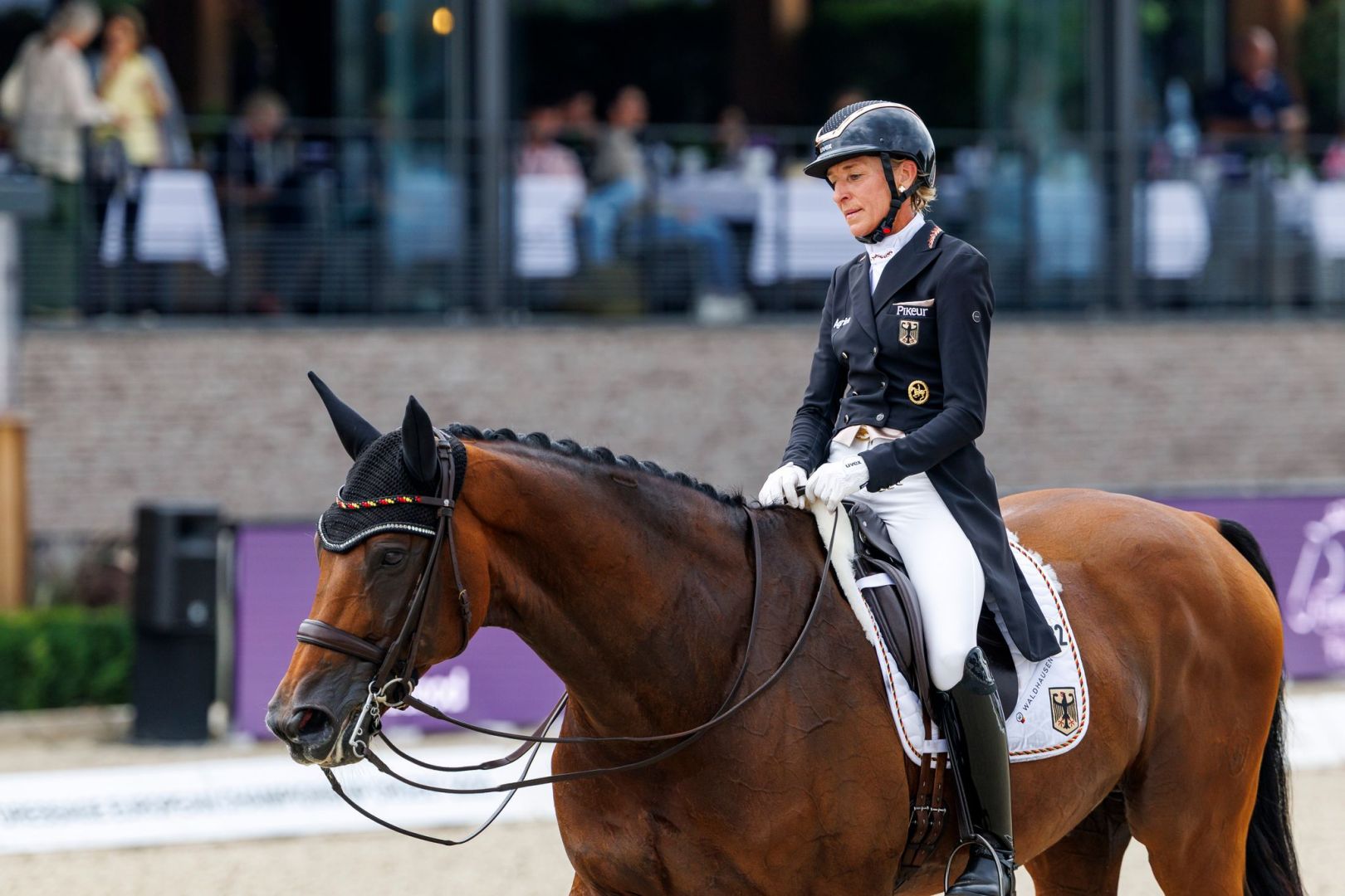 FEI Dressur Europameisterschaft 2025