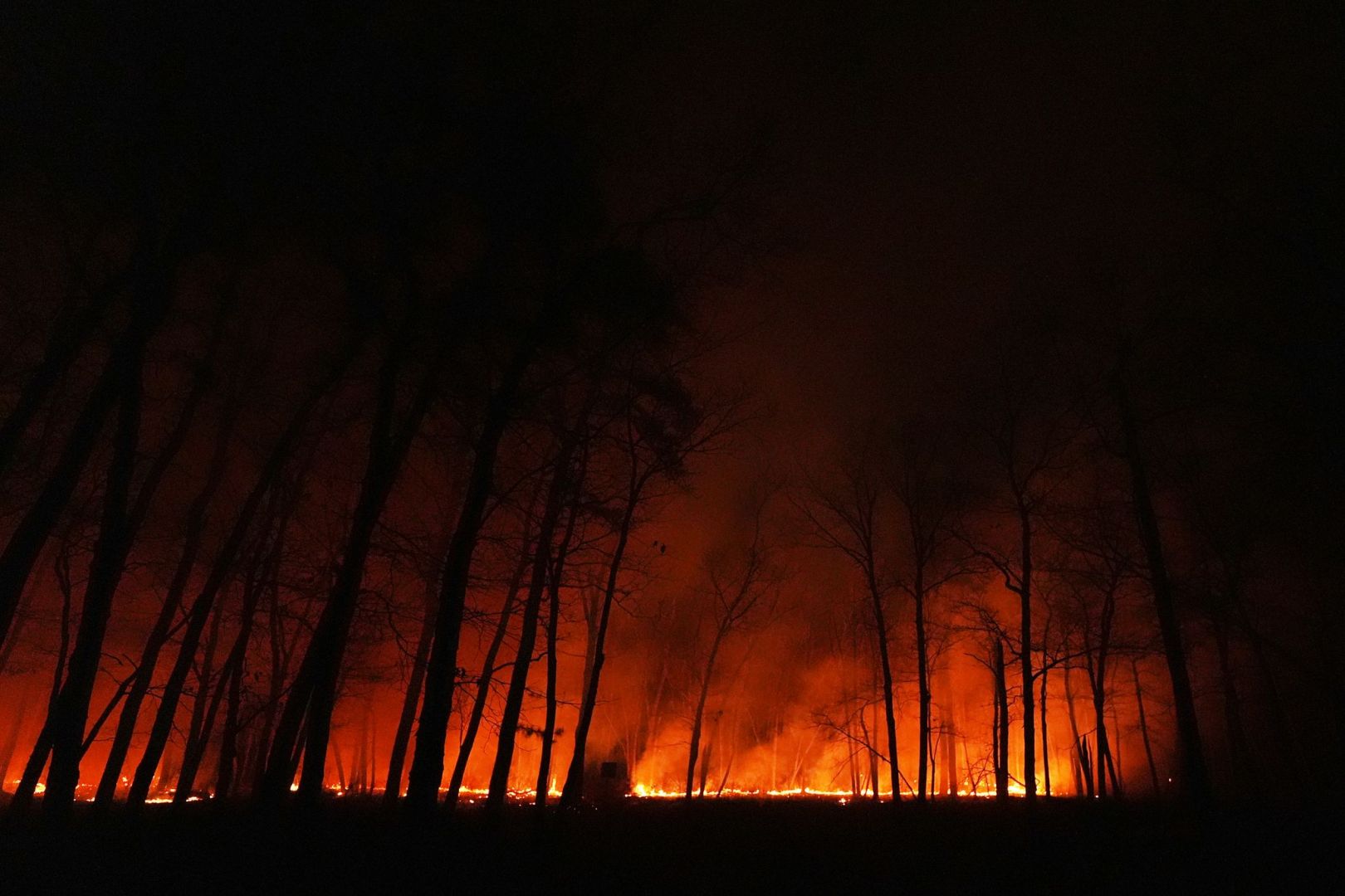 Flächenbrand in New Jersey