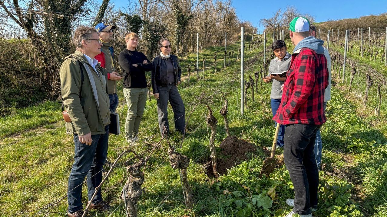 Forscher untersuchen Eignung als CO2-Speicher