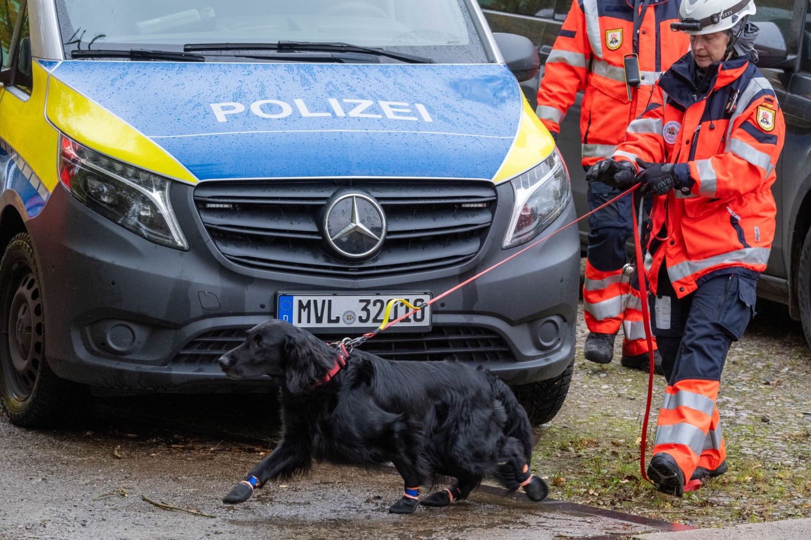 Fortsetzung der Suche nach Achtjährigem aus Güstrow
