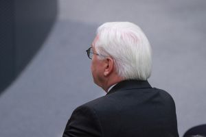 Frank-Walter Steinmeier (Archiv)