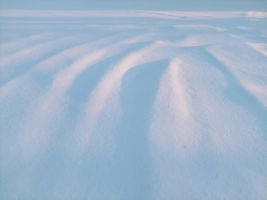 Friedliche Schneeszene mit Schneeverwehungen im sanften Abendlicht im Winter.