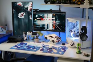 Gaming Setup