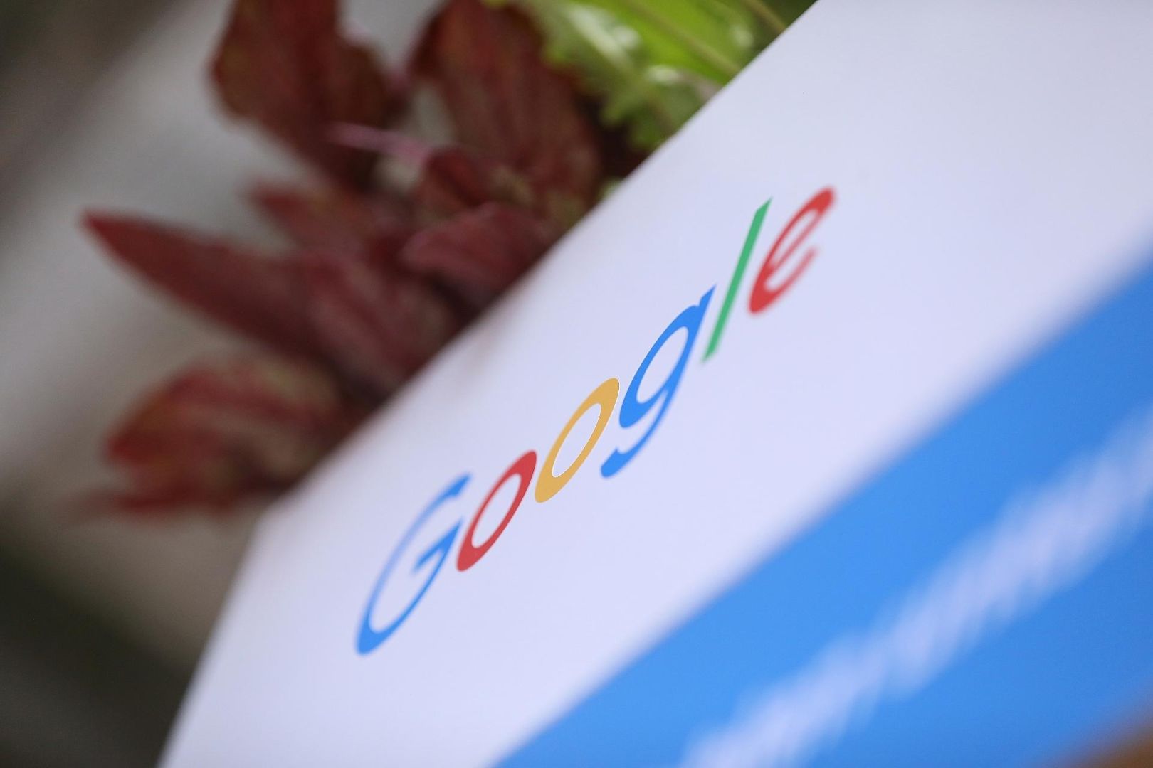 Google-Logo (Archiv)